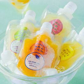 伊藤農園 なめらか 寒天ソルベ パウチタイプ 4種計8個 スイーツ 個包装 洋菓子 シャーベット お取り寄せスイーツ 和歌山県 みかん ゆず フルーツソルベ