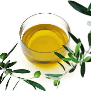 MZ  l SOR-40 5 l Hp GNXgo[WI[uIC Ė Ȏ ܖ gԖ I[uIC ܖ V 