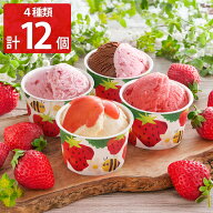 博多あまおうのこだわりアイス ギフトセット 4種計12個 アイスクリーム シャーベット カップアイス【沖縄…