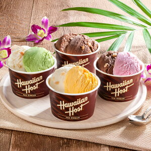 nCAz[Xg }J_~AibcACX MtgZbg 4v8 ACXN[ JbvACX fU[g yꌧE zsz