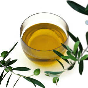  NbLOICZNV I[uIC Ė Ђ܂ Ȏ  lߍ킹 Ht@Ng[