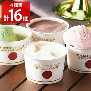 iq W[W[~N ACXN[ Hה׃Zbg 4 v16 JbvACX XC[c   fU[g