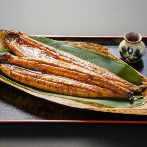 {EY Ȃ  2Zbg Ȃ Y V {Y Y y ȂĂ z  yp̉N̓ h{_ X^~i ăoe Ș ȏd Ђ܂Ԃ