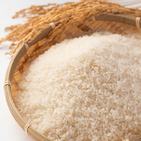 特別栽培米 あきたこまち 精米 5kg お米 真空パック 米 ごはん 秋田県産 佐々木米穀店