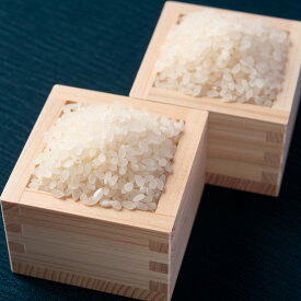 つや姫 雪若丸 詰め合わせ ギフト 米 特別栽培米 お米 産地直送 山形 白米 食べ比べ しまさき農園