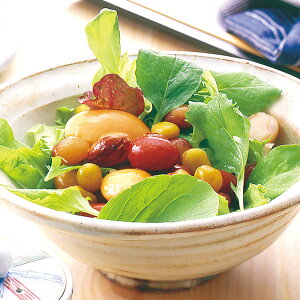 ܂₷ 4~bNX 5 kCY  Ƃ瓤 ԓ ǂ Y T_ y œ ܂ ̍k