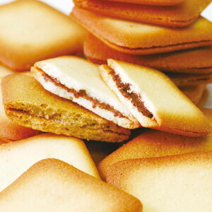 FC15 20 mَq َq lߍ킹 XC[c ĉَq colombin   Ro