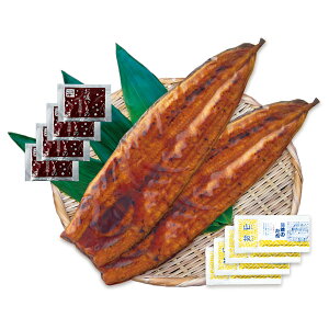 Y  Y Ȃ 2v500g zt V Ⓚ EiMĂ t Ȃ ΏĂ  y ͂̂Ƃ V̂΂₫ykCEꌧE zsz