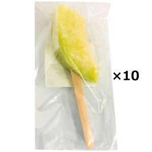 冷凍フルーツ 国産 メロン スティック 10個 果物 冷凍 カット済み 便利 手軽 フルーツ 使いやすい カットフルーツ デザート 冷凍カットフルーツ 国産フルーツ おやつ NORUCA
