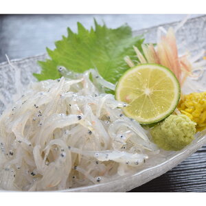 生しらす 釜揚げしらす 食べ比べセット 2種 詰合せ しらす 国産 海鮮 惣菜 新鮮 カタクチイワシ しらす丼 食べ比べ イワシ 愛媛県産