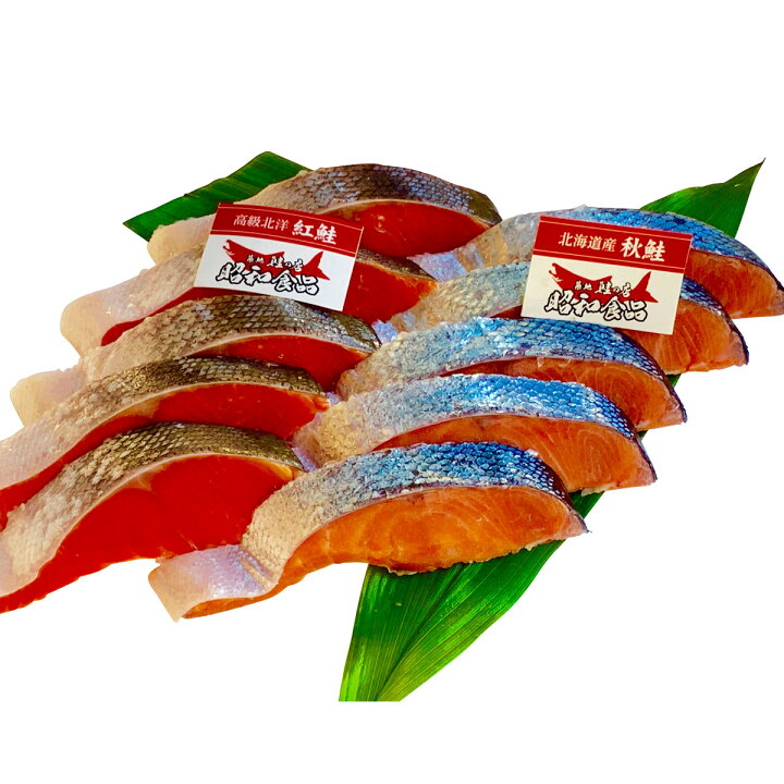 贈答用 築地の目利きシリーズ 天然鮭 プレミアム 12切 詰合せ 鮭 冷凍 さけ 時鮭 東京 築地 鮭の店 昭和食品