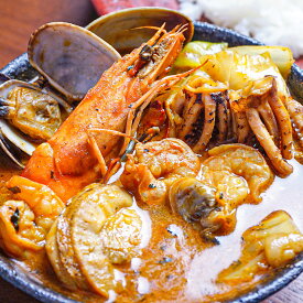 北海道の恵み！竜宮の賄い海鮮スープカレー 2パック 詰合せ スープカレー 惣菜 冷凍 カレー 海鮮 スープ シーフード 海老スープ 中辛 ピリ辛 北海道名物 名物 北海道 スープカレー奥芝商店