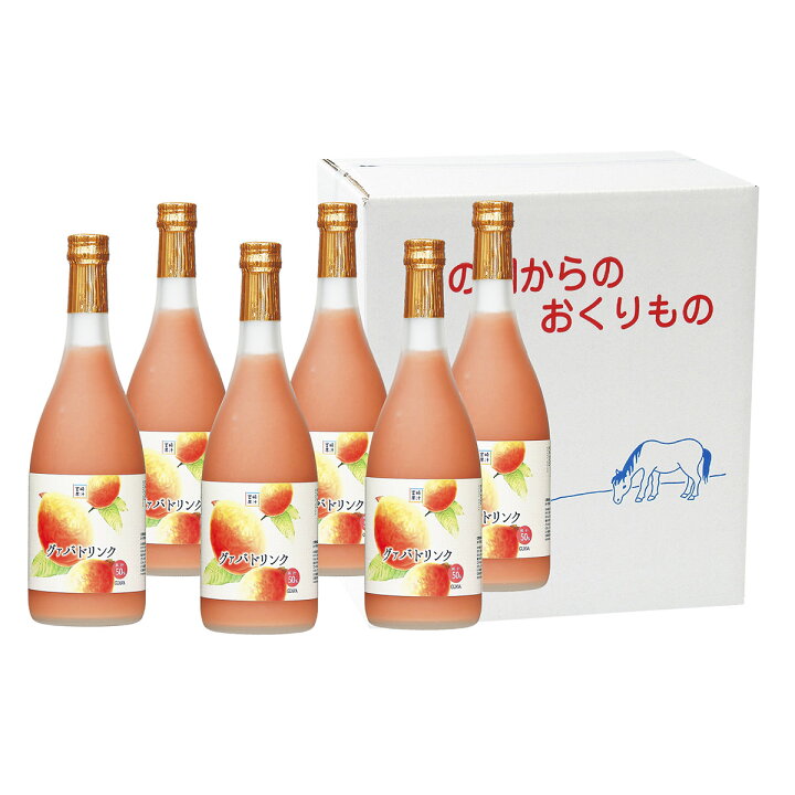 楽天市場】グァバドリンク 720ml×6本セット 6本 詰合せ グァバ