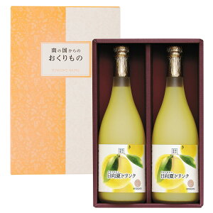 ăhN 720ml×2{Zbg 2{ l ăW[X W[X  ЂイȂ k VgX t[cW[X { {ʏ`