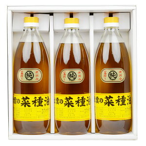 o_̍؎ 920g 3{ Zbg p  Hp  Y  uߖ ԍ Ȃ˖ g  Hp   eR