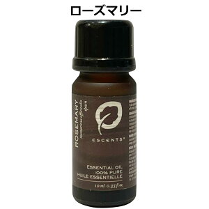  [Y}[ 10ml GbZVIC ] XbL n[u tbV A}IC A}ObY ESCENTS GbZX