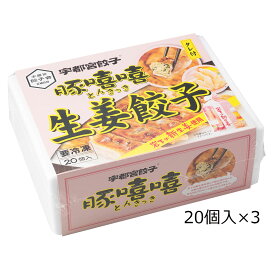 生姜餃子 20個入3箱 餃子 惣菜 中華 ぎょうざ 生姜 中華惣菜 岩下の新生姜 おかず 冷凍 昼食 夕食 夜食 軽食 おつまみ ギョーザ お酒のあて 冷凍餃子 栃木 宇都宮餃子とんきっき