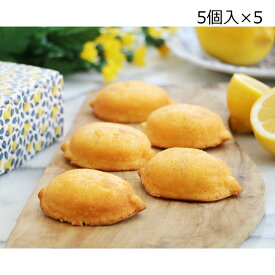 【10%割引】宮崎れもんケーキ レモッタ BOX5個入5箱 ケーキ 洋菓子 パウンドケーキ レモンケーキ レモン スイーツ デザート レモンピール 宮崎県産 おやつ 【北海道・沖縄・離島 お届け不可】