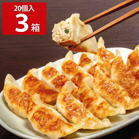 【10%割引】とんきっき餃子 20個入 3箱セット 360g×3 中華惣菜 宇都宮餃子 お取り寄せ ご当地餃子 点心 冷凍ぎょうざ 野菜たっぷり おかず ギョウザ おつまみ