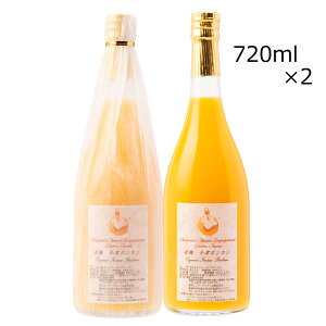 Ã|JW[X 2{ W[X |J ݂ ʎ Y ʏ`100 QY Ã|J Xg[gW[X hN Q GqGQ[Wt@[