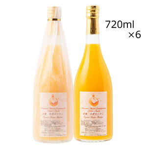 Ã|JW[X 6{ W[X |J ݂ ʎ Y ʏ`100 QY Ã|J Xg[gW[X hN Q GqGQ[Wt@[