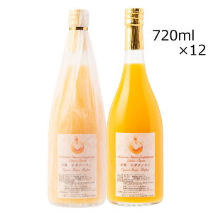 Ã|JW[X 12{ W[X |J ݂ ʎ Y ʏ`100 QY Ã|J Xg[gW[X hN Q GqGQ[Wt@[