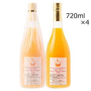 Fa}_k[H[ ɑ 4{ B݂W[X t[cW[X Y W[X ݂ ʏ`100 QY Xg[gW[X Y Q GqGQ[Wt@[