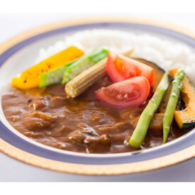 【10%割引】健康カレー 減塩ビーフカレー 20食 カレー 惣菜 無添加 レトルトカレー 簡単調理 時短 減塩 和風 ヘルシー 牛肉 温めるだけ カレーライス