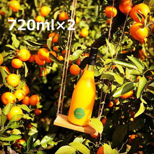 SUNSET Xg[gW[X 720ml2{ ʎ ݂W[X QY݂ Y B݂ W[X Y Xg[g ʏ`100 t[cW[X