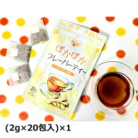 生姜紅茶 ぽかぽかフレーバーティー 20包入1袋 紅茶 ティーバッグ ジンジャー フレーバーティー 生姜紅茶 フルーティー しょうが ティーパック 便利 手軽 生姜 ヘスペリジン 温活 ポスト投函便