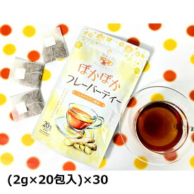 生姜紅茶 ぽかぽかフレーバーティー 20包入30袋 紅茶 ティーバッグ ジンジャー フレーバーティー 生姜紅茶 フルーティー しょうが ティーパック 便利 手軽 生姜 ヘスペリジン 温活