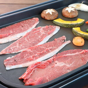 ܂Ƃ Ă KA-550 300g   ₫ ґ  ē Y a