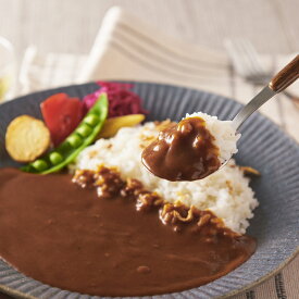 牛肉をとろけるまでじっくり煮込んだカレー BC-30R レトルトカレー まとめ買い ビーフカレー 惣菜 食品 常温保存 カレー 温めるだけ