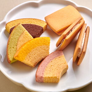 D Kg[ZNV mَq lߍ킹 t[cN[w t[cTh َq XC[c  Ăَq o[N[wyꌧE zsz