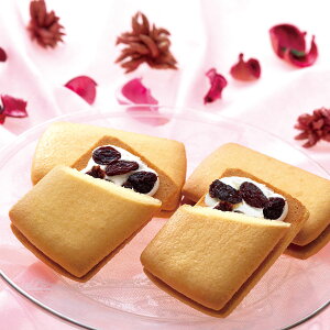 D [YTh [YTh NbL[ Th mَq XC[c Ăَq [Y Ђ [Y fU[g yE ͂sz