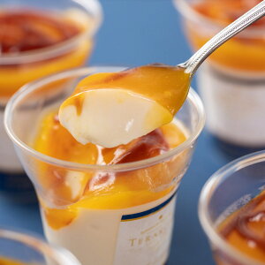   TERAKOYAďC Z}S[v v mَq }S[v XC[c fU[g  }S[ Z nXC[c 񂹃XC[cy ͂sz