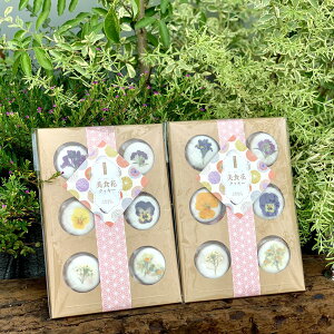 HԃNbL[ 62Zbg mَq 킢 NbL[ ΂܂  َq GfBut[ XC[c JXC[c  킢َq yE ͂sz