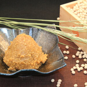  20薡X Hה3 ݂ T Ă݂ 킹݂ ݂ ]˂݂  X   V Hה 