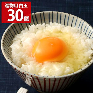 ؂̉Ԃ܂ AX^LT` ip M`LTCY 30 {  ʎq  ܂ MTCY LTCY