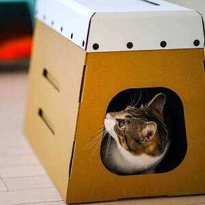 _{[ LnEX ܂Ƃt Ƃт΂ Ƃ ~ɂI i{[ Lp ybgnEX 킢 ܂Ƃ nEX  Lpi