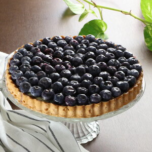 u[x[^g ^g z[ mَq XC[c Y z[P[L HcY fU[g  nXC[c 񂹃XC[c