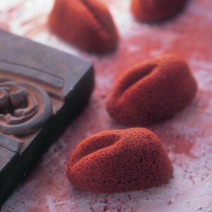 ETMtBiVF v~AVR 62Zbg ̔e َq tBiVF mَq XC[c   nXC[c  