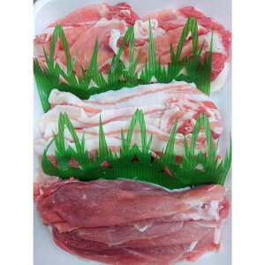 [NV[ ؂ԃZbg ~`t ؓ ؂  [X ؃o ،[X XCX Ԃ |[N Ԃԗp ÉY