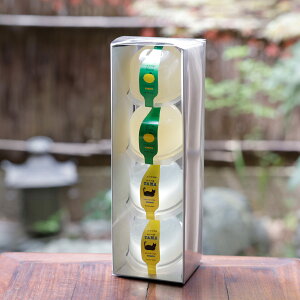 [[ ʔT 2v4 Hה [[ AR[IN[[ Ղ` XC[c lߍ킹  َq lXC[c