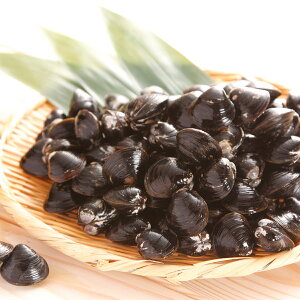 宍道湖産 大和しじみ 冷凍特大 舞音セット シジミ 貝類 島根県産 貝 冷凍しじみ 特大 国産 島根 宍道湖 特産 舞音