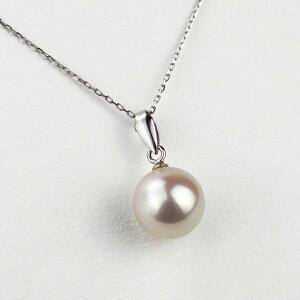 SeashoreFa^ Ԏ^ ꗱ y_g p[y_g K18`F[ AR^