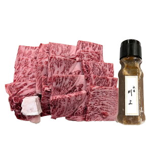 ̑勴 ߍ] T[Cē _ Xe[L\[XZbg   s T[C Y јa Ăp Ⓚ aykCEꌧE zsz