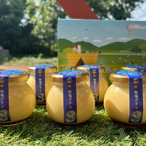  qv3 6 v XC[c Ysgp mَq  JX^[hv sgp mَq nO vfBOykCEꌧE zsz