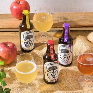 ^O{[g CRAZY CIDER V[h 3v6{ MtgBOX ʎ  n[hTC_[ DRY AR[ XYS SWEET JVX