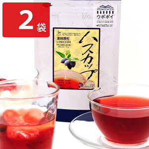 nXJbv Zk jZ 2 t[cW[X W[X  nXJbvʏ` Zk W[X  nXJbvW[X